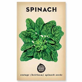 The Little Veggie Patch Co Spinach Heirloom Seeds, 1 pack