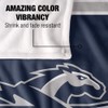 Longwood University Lancers Blanket, 36"x58" Primary Logo Stripes, Silky Touch