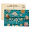 Ocean City, New Jersey, Welcome to New Jersey, Seashells (4x6