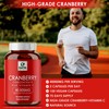 Earth BOTANIC Organic Cranberry Capsules 40,000mg High Strength | 150