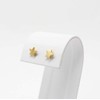 Aretes de Estrella en Chapa de Oro de 22K (5