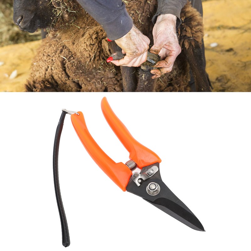Hoof Shear Red Stainless Steel High Carbon Steel Multifunctional Hoof