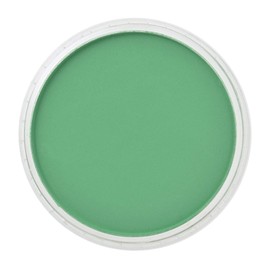 PanPastel 26405 Ultra Soft Artist Pastel, Permanent Green, 640.5