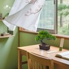 Der Rose 8'' Artificial Bonsai Tree Small Fake Potted Plants