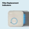 Coway Airmega Icon/Icons Air Purifier Replacement Filter Set, Max 2