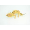 Collectible Wildlife Gifts Leopard Gecko, Toy, Realistic Hand Painted Rubber