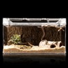 Reptile Log Hide Cave, Safe Hiding Place for Snakes, Turtles,