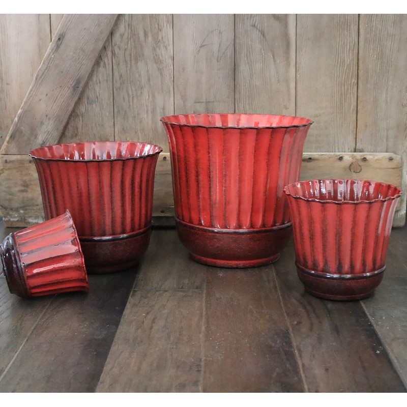 Headwind 12" Revere - Autumn Blaze