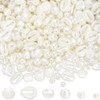 SUNNYCLUE 1 Box 400Pcs Shell Pearl Beads White Seashell Beads