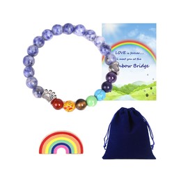 Loving Basso Pet Memorial Gifts for Dogs,Rainbow Bridge Bracelet for Beloved Dog,8MM Bead 7 Chakra Pet Memorial Bracelet Loss of Dog Sympathy Gift for Women Men,Dog Remembrance Gift