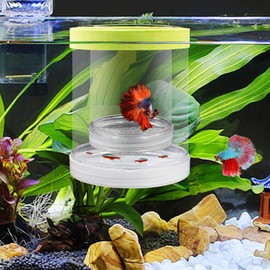 Floating Fish Breeding Isolation Box Fish Tank Breeding Box Aquarium for Baby Fish, Betta Shrimp, Clown Fish, Guppies (Green, Large)