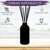 Urban Naturals Lavender Cedarwood Reed Diffuser Oil Set with Reed