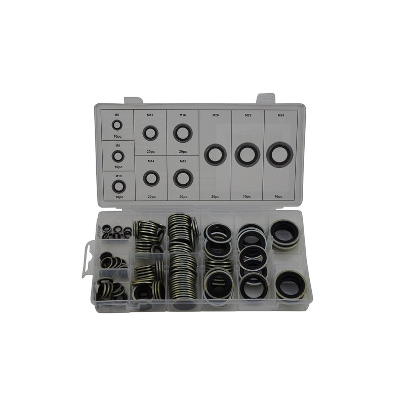 Hydraulic Sealing Rings with Rubber Lip, 150-Piece Sealing Rings Assortment