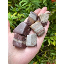 1/4 Pound Shiva Lingam Tumbled Stones, Polished Shiva Lingam Rock, Genuine Shiva Lingam Stone Bulk Lot