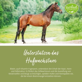 tierlieb Biotin Tablets for Horses, for Hooves, Skin and Coat, Supplementary Feed, 500 Tablets