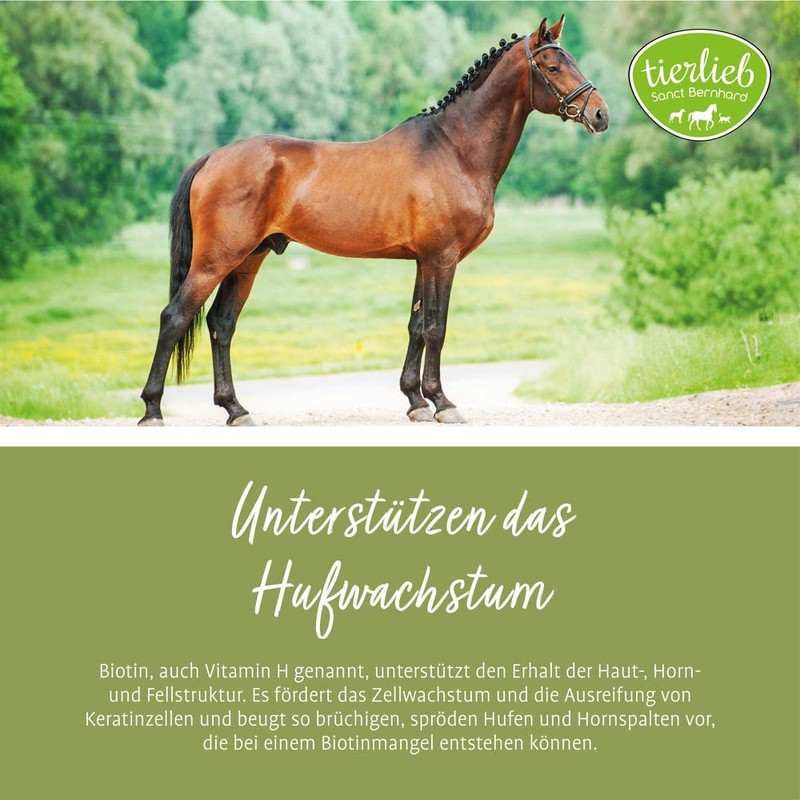 tierlieb Biotin Tablets for Horses, for Hooves, Skin and Coat,