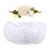 HOOLCHEAN Infant Toddler Baby Girls Super Soft Fluffy Tutu Skirt