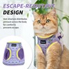 Arblina Soft Mesh Kitten Harness and Leash Set for Walking,