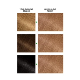 Garnier Nutrisse Permanent Hair Colour 6.3 Praline Dark Golden Blonde