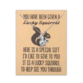 BLEOUK Squirrel Necklace Squirrel Lover Jewelry for Women Good Luck Squirrel Pendant Necklace (A Lucky Squirrel necklace)