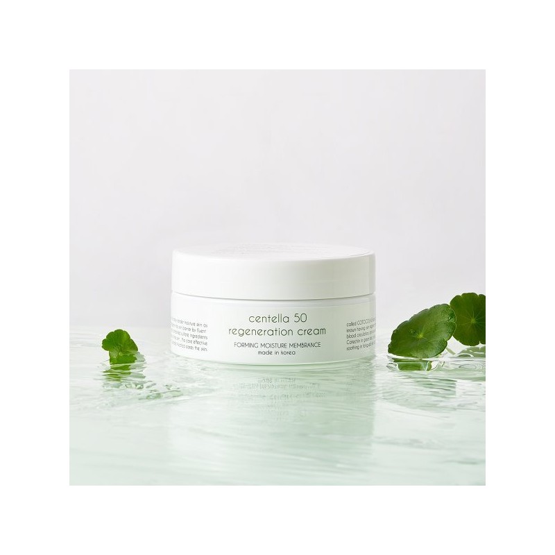 Wrinkle Improvement Centella Regeneration Cream 200g / 주름개선 센텔라 리제너레이션