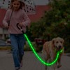 Light Up Dog Leash with Collar 2-in-1, 14 LED Modes