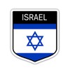 Squiddy Israel Flag Shield - Vinyl Sticker for Car, Laptop, Notebook (5" high)