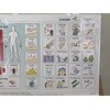 Acuity Medical EZ Patient Communication Board
