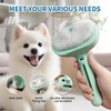 Herokitty Cat Steam Brush for Shedding, 3 In 1 Self
