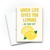 Funny Greeting Cards | When Life Gives You Lemons Oh