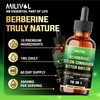 MILIVOL 10in1 Berberine Liquid Drops with Ceylon Cinnamon, Bitter Melon,
