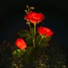 XLJLKJDS Solar Rose Light, 3-Head Waterproof IP65, 2 Pack Ground