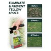 See Spot Run Lawn Protection Concentrate – 32 fl oz