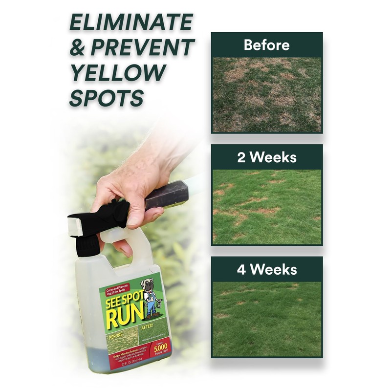 See Spot Run Lawn Protection Concentrate – 32 fl oz