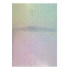 Evergreen Goods 10 Sheets of A4 Holographic Silver Printable Vinyl