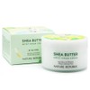 Nature Republic 네이처리퍼블릭 쉐어버터 스팀크림-모이스트 100ml Nature Republic Shea Butter