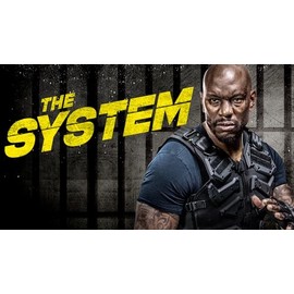  The System