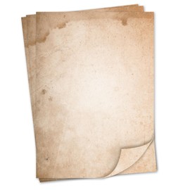 Writing Paper Set Nature Motif I 50 Sheets 90 g/m² DIN A4 I Stylish Writing Paper Versatile Brown Beige I Birthday Certificate Menu I dv523