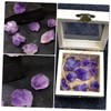 KICHOUSE 100g Amethyst Rough Ore Specimen for Teaching and Collection
