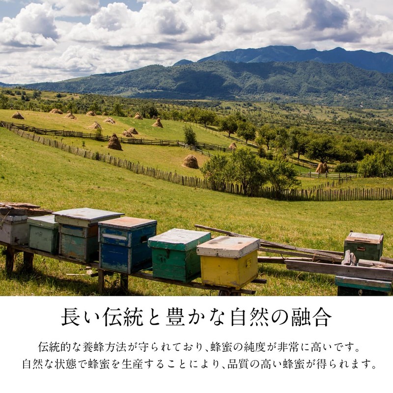 正栄 ルーマニア産 純粋はちみつ(ポリ) 500g