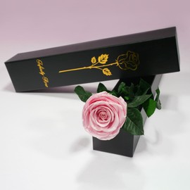 Yamonic Eternal Rose Gifts for Women, Infinity Rose with Stem, Birthday Gift Women, Real Rose in Gift Box, Gifts for Mum, Preserved Flower Gift, Valentine's Day, Christmas, Pink Rose