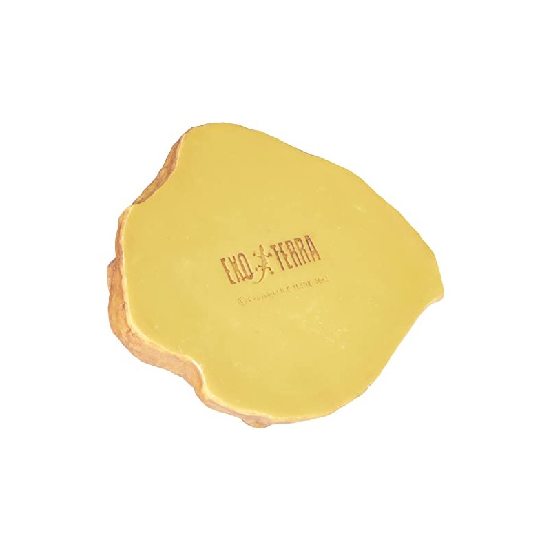 Exo Terra Feeding Dish Large