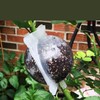 Plus Nao Root Box, Set of 5, Plant Breeding, Plant