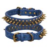 Kawagogo Leather Dog Collar with Sharp Spikes,Protect The Dog's Neck