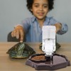 Reptile Water Dispenser, Reptile Turtle Feeding Bowl for Reptiles Turtles