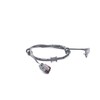 Brembo A 00 461-Systeme Brake Booster