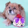 Pet London British Crown Dog Toy with Large Squeaker &