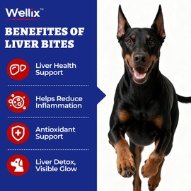 260 Bites Wellix Liver Support for Dogs - Milk Thistle for Dog Liver Supplements with Omega-3 - Supports Heart & Antioxidant for Large,Small Breed Fogs -Chicken Flavor