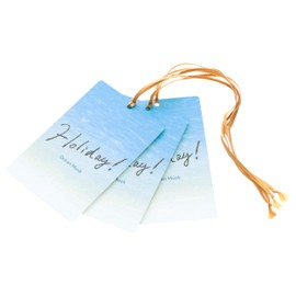 Carmate H1771 Hanging Air Freshener, Set of 3, Car, Closet, Room, Holiday Musk Series, Ocean Musk Scent