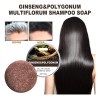 Champú Oscurecedor En Barra L Polygonum Essences Hair Darken